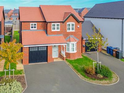 Picture 27